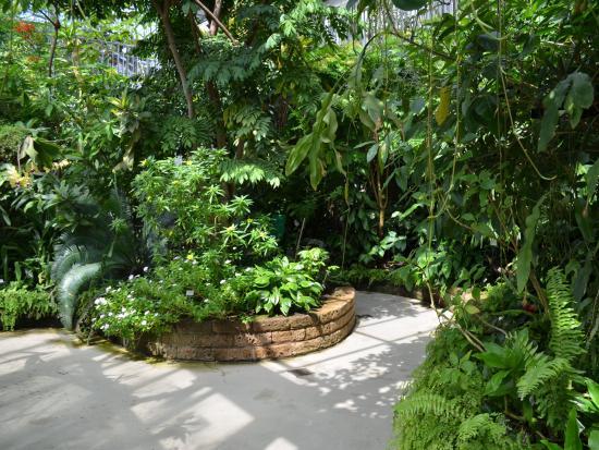 Botanical Garden Leipzig